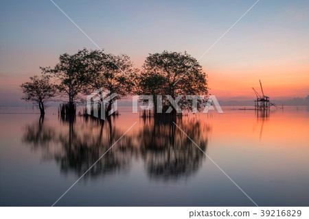 Trees in the lake with beautiful twilight ,Pakpra. Trees in the lake with beautiful twilight ,Pakpra. 39216829