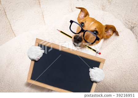 office worker boss dog office worker boss dog 39216951