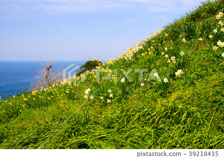 越前海岸 越前海岸 39218435