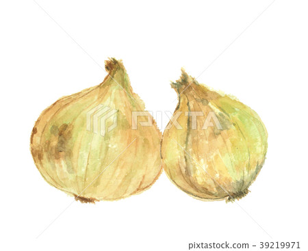 New onions New onions 39219971