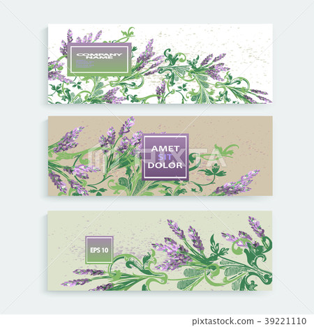 Lavender floral pattern cover design. Hand drawn Lavender floral pattern cover design. Hand drawn 39221110