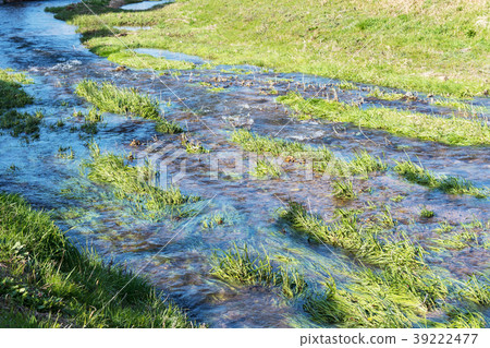春天的河 39222477