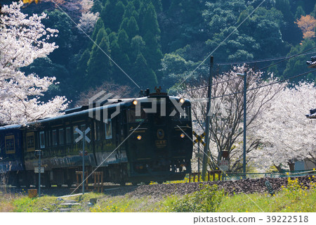 Limited express spring and spring season 39222518