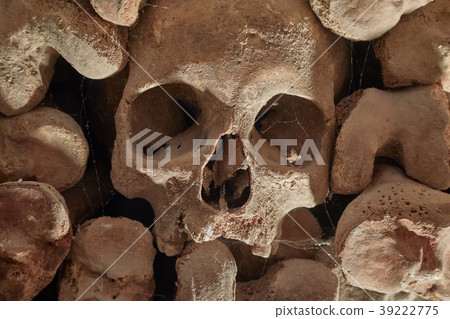 Skulls and bones in a wall 39222775