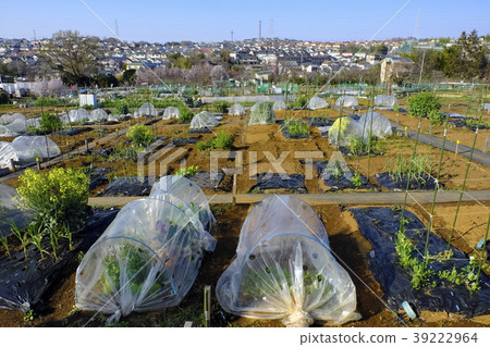 Yokohama-shi Aoba-ku citizen farm Yokohama-shi Aoba-ku citizen farm 39222964