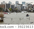 飛行到Shinobu池塘的海鷗 39223613