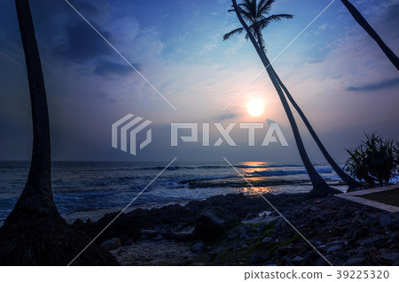 Sunset at tropical beach 39225320