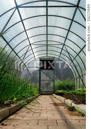 Inside small garden greenhouse Inside small garden greenhouse 39225684