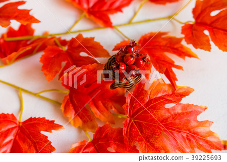 Hawthorn in vase and red maple leaves fall concept 39225693