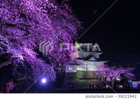 Odawara Sakura Festival Odawara Sakura Festival 39225942