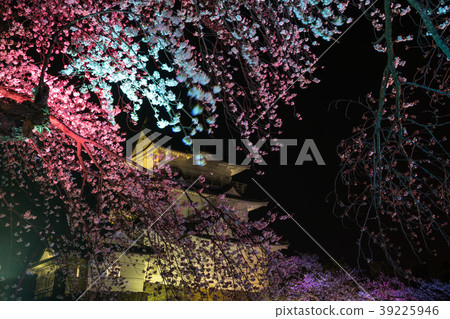 Odawara Sakura Festival Odawara Sakura Festival 39225946