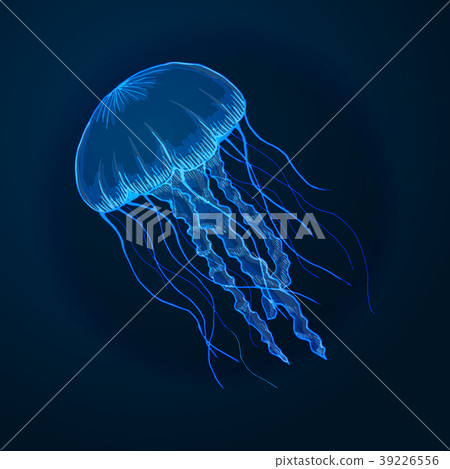Hand drawn sketch isolated jellyfish, marine Hand drawn sketch isolated jellyfish, marine 39226556