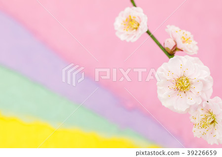 Slightly pinkish double-layered plum blossoms Light three-color washi paper back blur Slightly pinkish double-layered plum blossoms Light three-color washi paper back blur 39226659