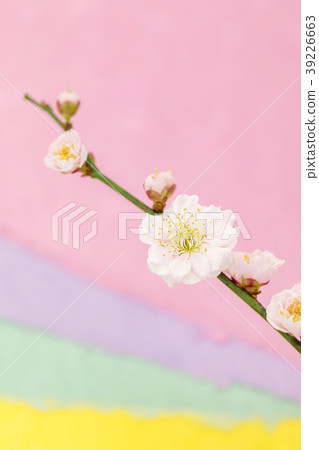 略帶粉紅色的雙層梅花淺色三色紙張背面模糊 略帶粉紅色的雙層梅花淺色三色紙張背面模糊 39226663