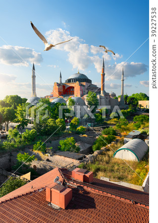 Istanbul at sunny day 39227538