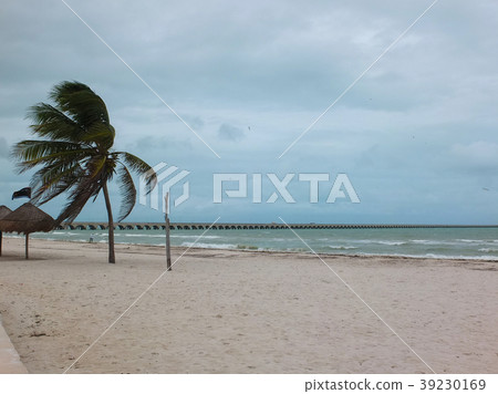 The longest pier in the world. Progreso,Mexico The longest pier in the world. Progreso,Mexico 39230169