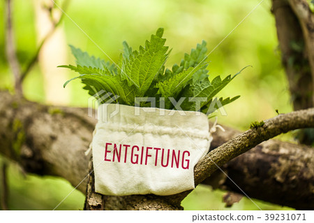 Entgiftung Entgiftung 39231071