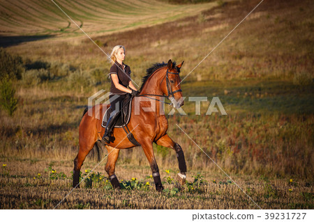 Young woman riding brown horse 39231727