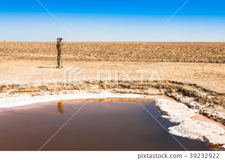 Chott el Djerid, salt lake in Tunisia Chott el Djerid, salt lake in Tunisia 39232922
