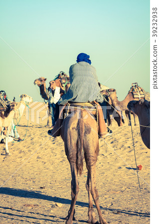 Beduins leading tourists on camels at short Beduins leading tourists on camels at short 39232938
