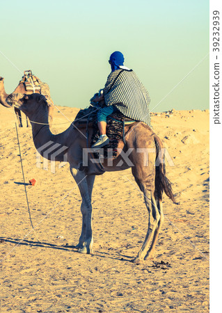 Beduins leading tourists on camels at short Beduins leading tourists on camels at short 39232939