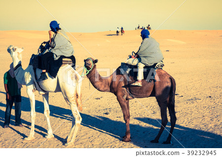Beduins leading tourists on camels at short Beduins leading tourists on camels at short 39232945