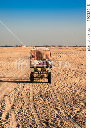 Beduins leading tourists on camels at short Beduins leading tourists on camels at short 39232948