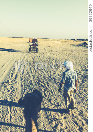 Beduins leading tourists on camels at short Beduins leading tourists on camels at short 39232949