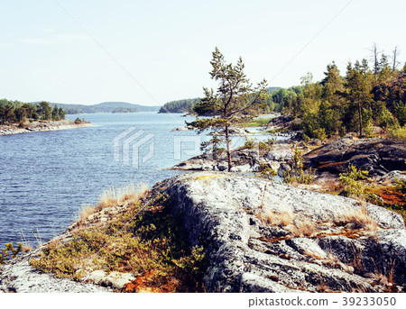 wild north nature landscape. lot of rocks on lake wild north nature landscape. lot of rocks on lake 39233050