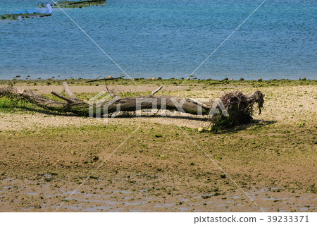 Ria Tina Minor. Nansa River mouth. Municipality Ria Tina Minor. Nansa River mouth. Municipality 39233371