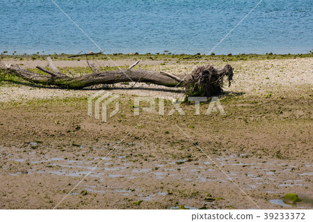 Ria Tina Minor. Nansa River mouth. Municipality Ria Tina Minor. Nansa River mouth. Municipality 39233372