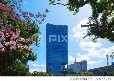東京中城日比谷和櫻花盛開 東京中城日比谷和櫻花盛開 39233734