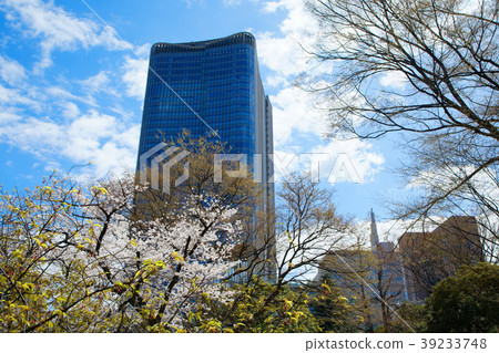 東京中城日比谷和櫻花盛開 東京中城日比谷和櫻花盛開 39233748