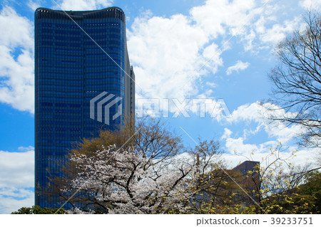 東京中城日比谷和櫻花盛開 東京中城日比谷和櫻花盛開 39233751