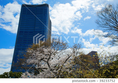 東京中城日比谷和櫻花盛開 39233752