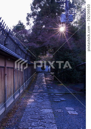 Okabayashiin 39236680