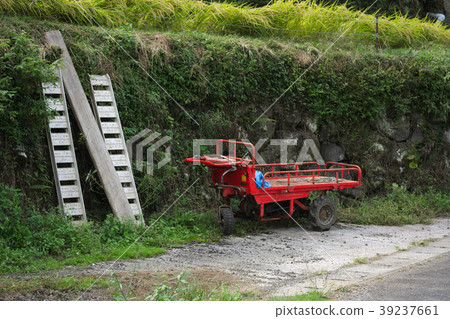 Agricultural carrier and dumplings 39237661