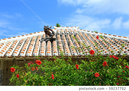 Taketomi island Ryukyu red tile and Shisa Taketomi island Ryukyu red tile and Shisa 39237782