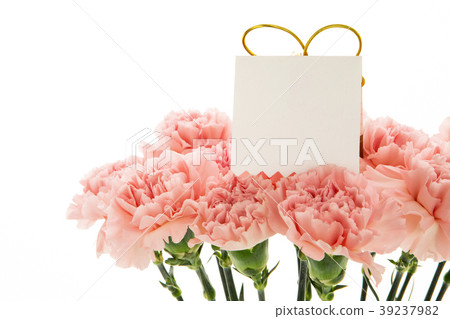  母親節，彌生薰，情人節，母親節，康乃馨，情人節，母親節 39237982