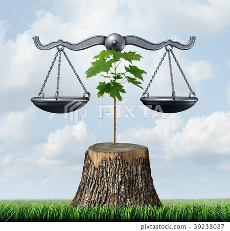 Environment Law 39238087