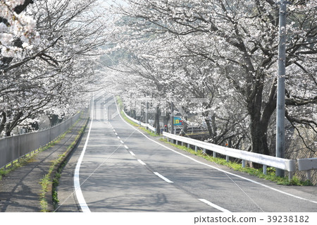 Sakura Highway Sakura Highway 39238182