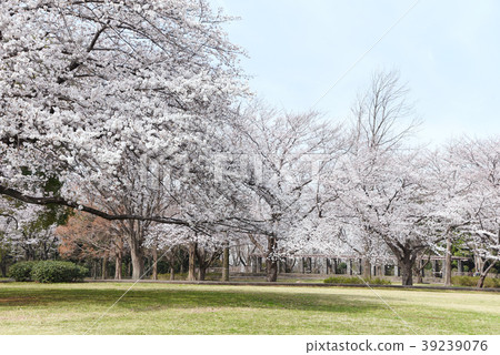 Ohiwa Castle Park Ohiwa Castle Park 39239076
