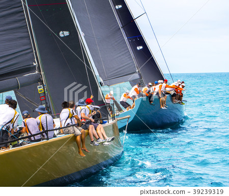 Sailing yachts regatta. Yachting. Sailing 39239319