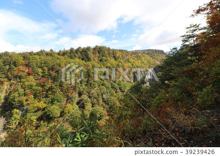 Shiraito從Mt Numajiri到Mt. Adatara的途中落下 39239426