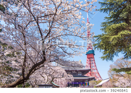 Sakurajo Tokyo Tower of Zojoji Temple 39240841