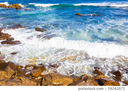 beautiful beach of Sri Lanka beautiful beach of Sri Lanka 39242071