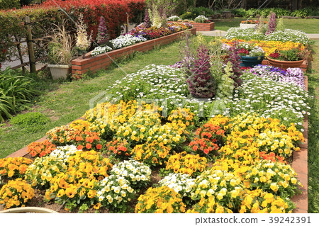 Spring flower bed Winter flower bed Spring flower bed Winter flower bed 39242391