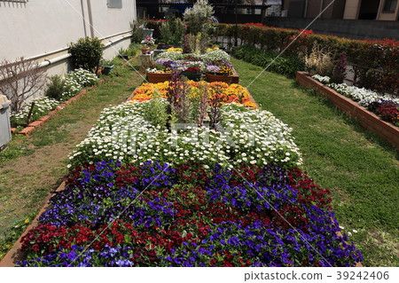 Spring flower bed Winter flower bed Spring flower bed Winter flower bed 39242406