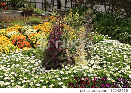 Spring flower bed Winter flower bed Spring flower bed Winter flower bed 39242416