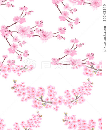 Sakura. Two pictures with delicate lush flowers Sakura. Two pictures with delicate lush flowers 39243349